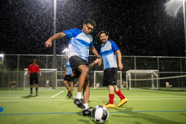 本文将为您 本文将为您