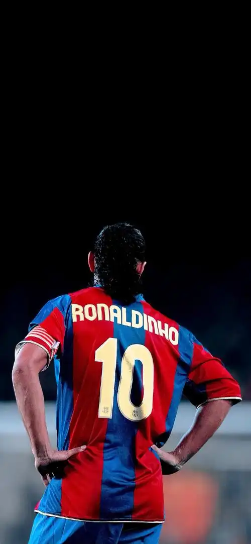 仅令人失望 仅令人失望